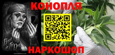 крисы Будённовск